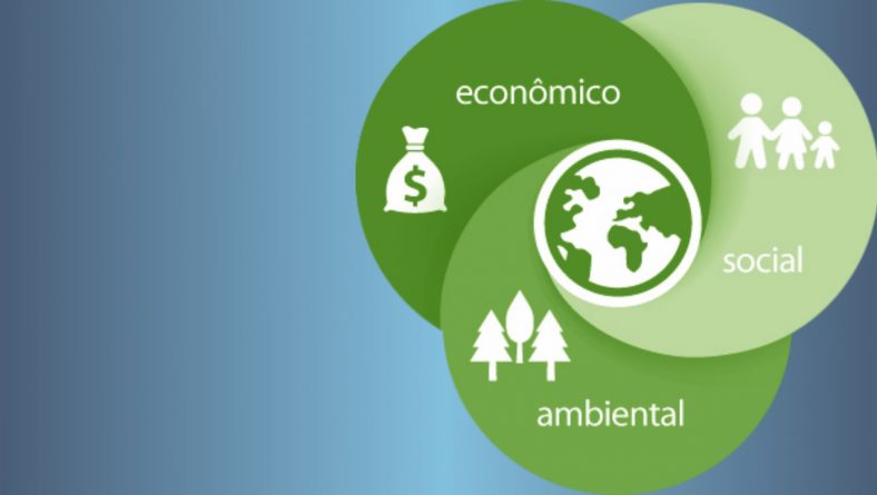 A sustentabilidade ambiental garante a segurança empresarial?